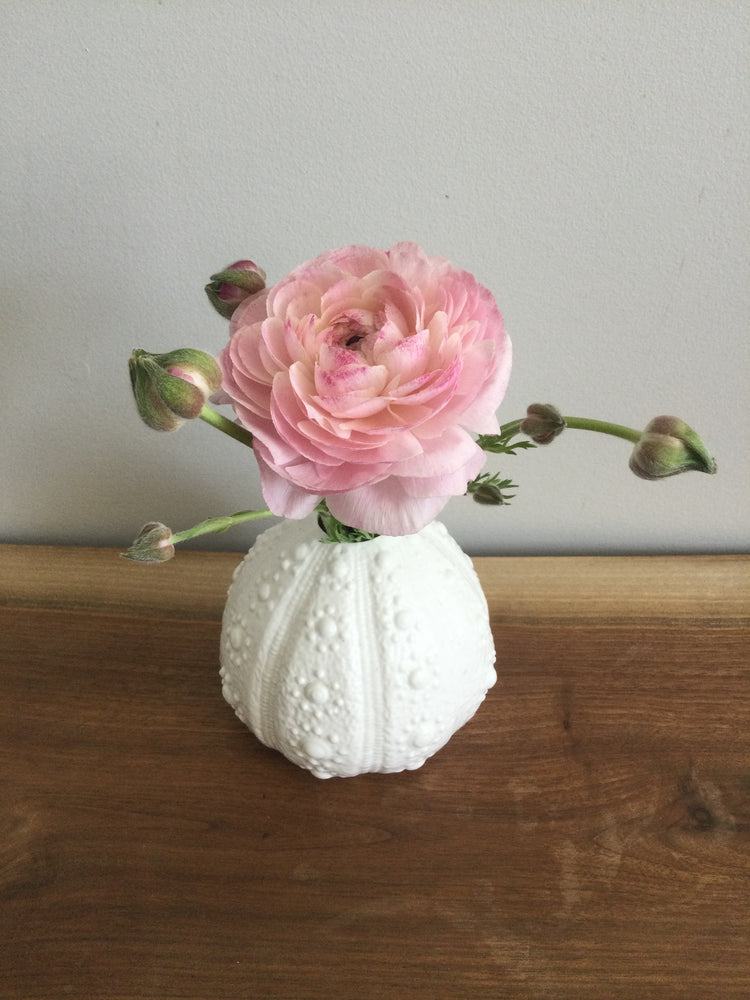 
                  
                    Load image into Gallery viewer, White urchin bud vase
                  
                